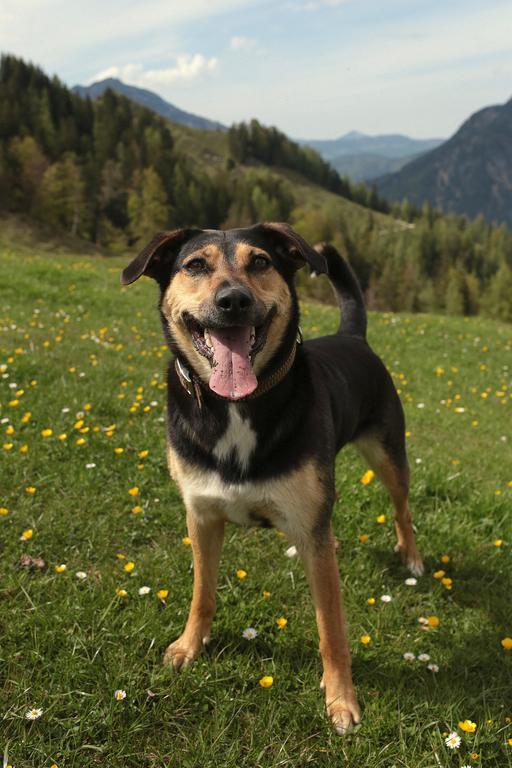 Appartamento Hutmann Kirchdorf in Tirol Esterno foto